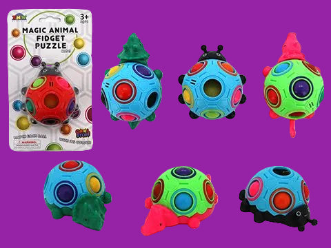 Magic Fidget Puzzle - Assorted
